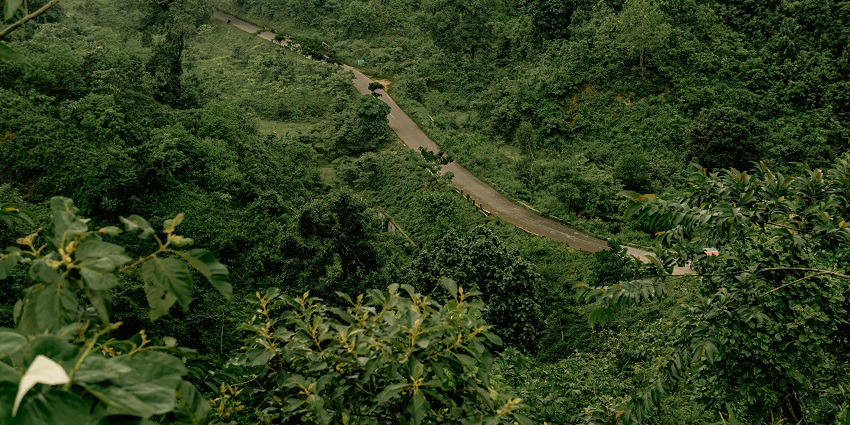 Pulie Badze Wildlife Sanctuary, with lush greenery, one of the serene places to visit near Kohima.
