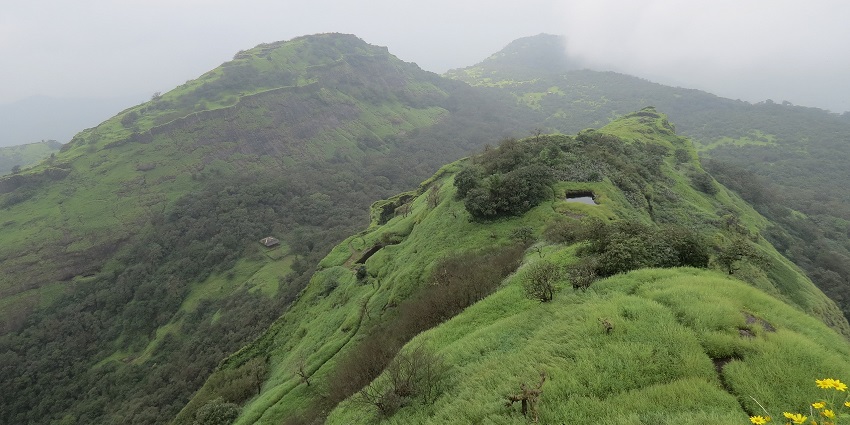 Rajmachi fort top view with green mountains, yellow flowers and hazy cloudy sky.
