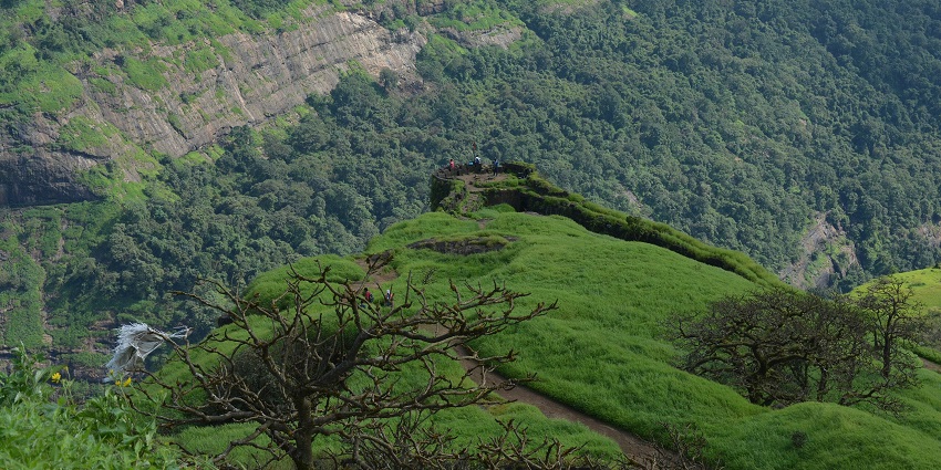Lush green cliff edge extending into deep forested valleys and layered mountain slopes.