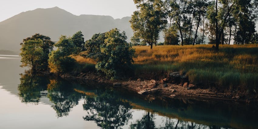 Scenic view of Gohilwad Lake in Rajpipla surrounded by natural beauty and calm waters.