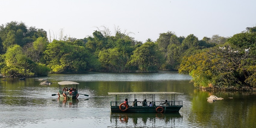Ranganathittu bird sanctuary with multiple people in the boats, greenish water, and greenery.