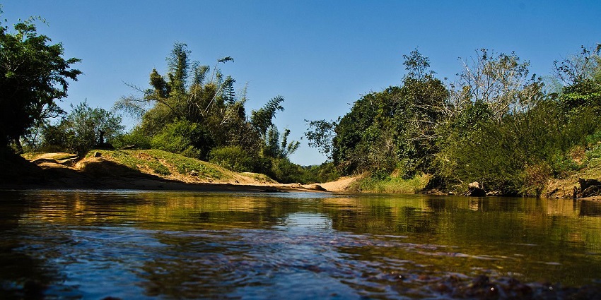 Small water body and greenery in Sakleshpur, one of the top places to visit in October near Bangalore.