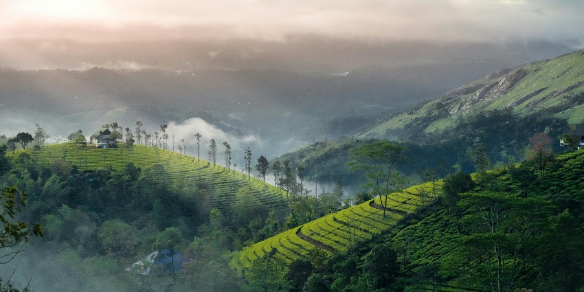Savandurga Hills are covered in lush greenery with gentle slopes and a serene natural setting.
