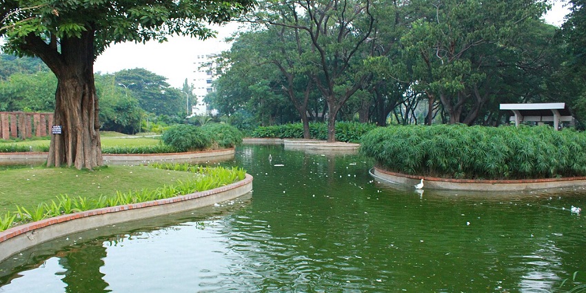 Semmozhi Poonga pond is surrounded by trees and lush greenery on a calm day.

