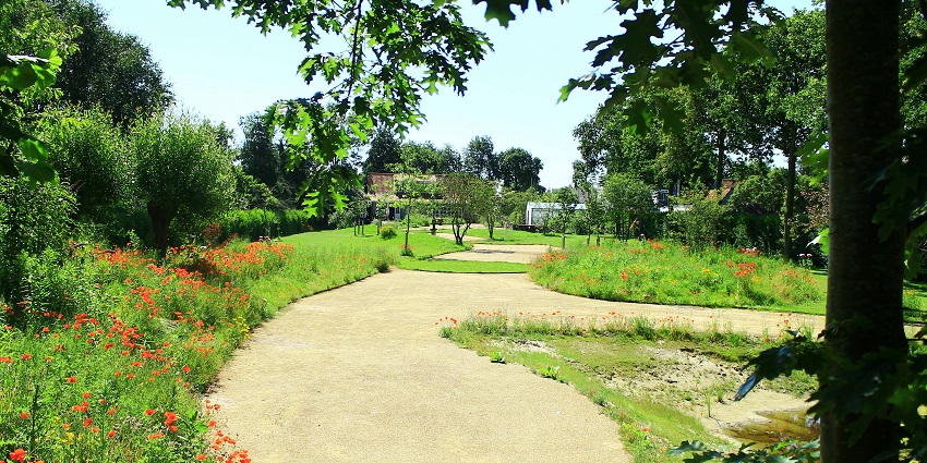 Vibrant Shalimar Gardens with colorful flowers, lush trees, and scenic walkways.
