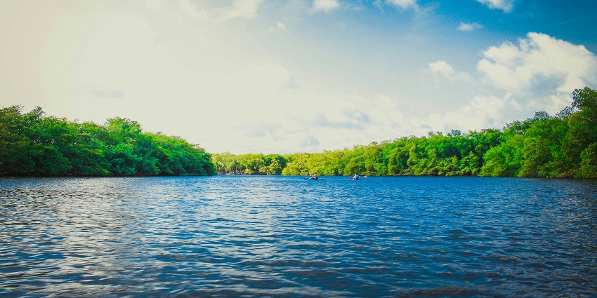 Shilloi Lake in Phek is surrounded by forested hills and calm waters under a clear sky.