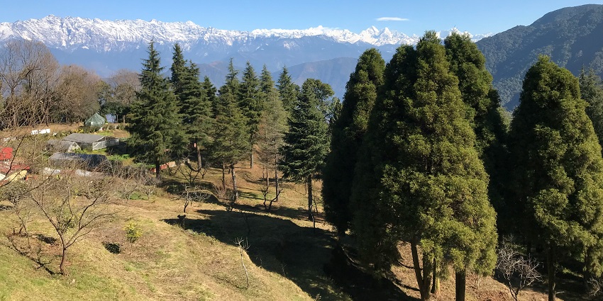 Lush trails at Shivapuri Nagarjun National Park, one of the places to visit near Kathmandu with friends.