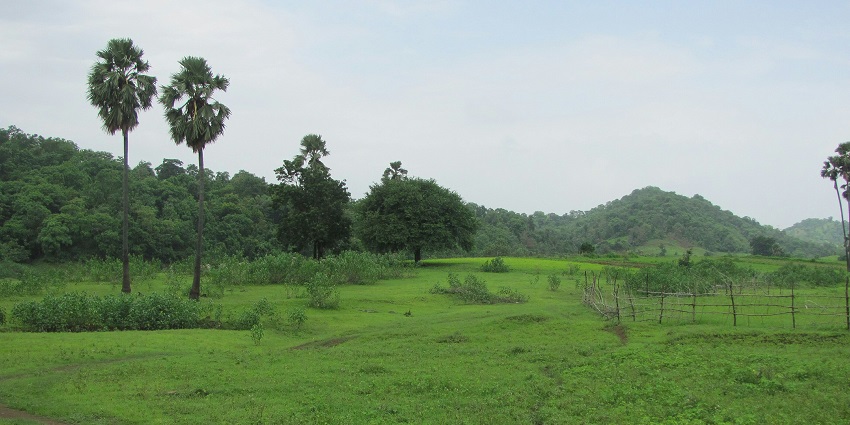 Shoolpaneshwar wildlife sanctuary with lush plains and trees, places to visit near Bharuch within 100 km.