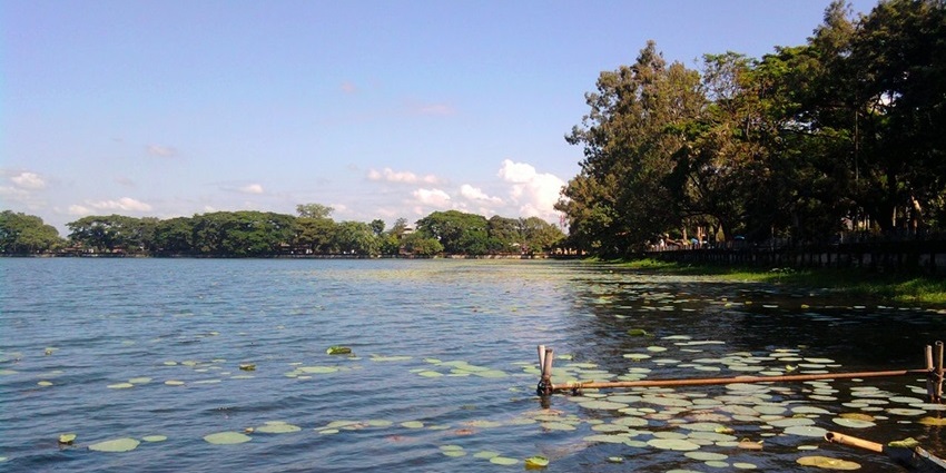 Sivasagar Tank in Assam with lily pads and trees among the top places to visit near Arunachal Pradesh.
