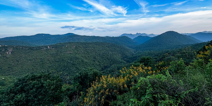 Mist-covered hills and rocky terrain at Skandagiri, a popular trekking spot.