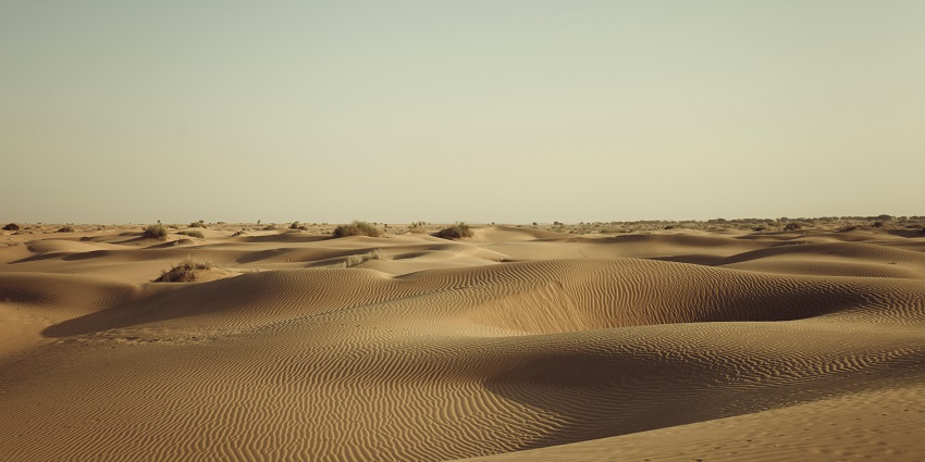 Vibrant desert landscape during the Desert Festival – what is the best time to visit Jaisalmer.
