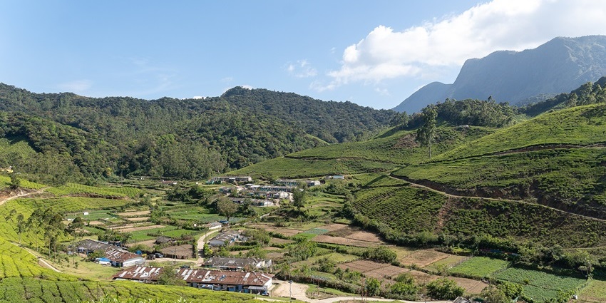Munnar top station with distant small buildings & houses, walking pathways, and greenery.