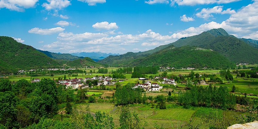 Tuophema Village is nestled among green hills, showcasing traditional Naga village life.