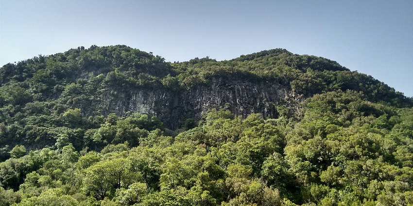 Lush green hills at Kaziranga National Park under a clear sky.