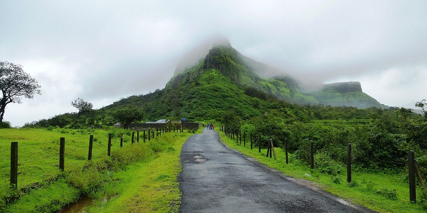 Misty Visapur Fort hilltop is covered in greenery, with a winding road leading through fields.
