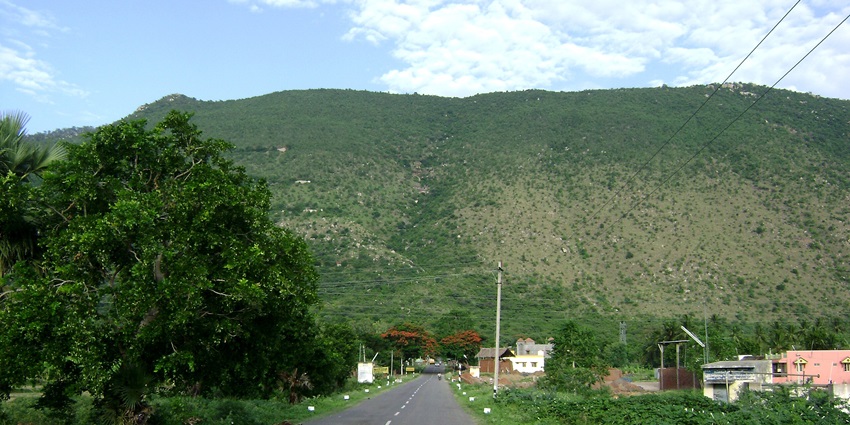 Yelagiri Hills with lush greenery, winding roads and peaceful mountain views.
