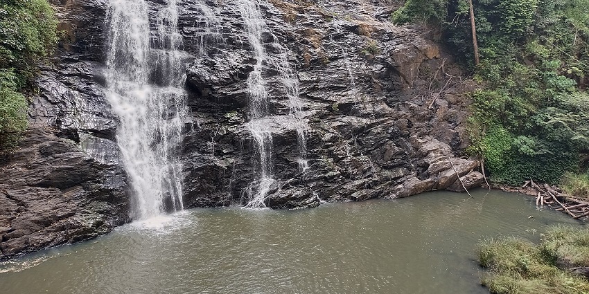 A cascade of white water tumbles over large, moss-covered rocks surrounded by dense forest.

