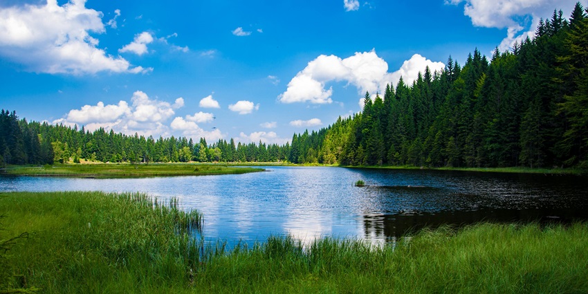 Achalgarh Lake is surrounded by lush green forest, a peaceful spot among the hill stations in Rajasthan.