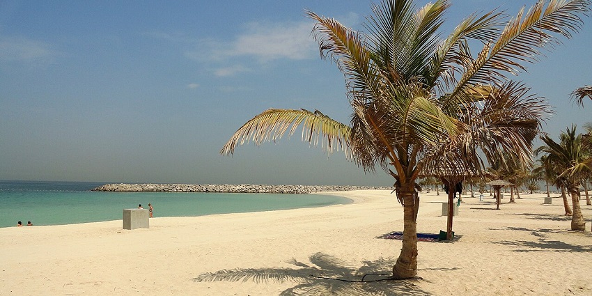 Beachfront with shaded palm trees, calm waters, and visitors relaxing on the sand.
