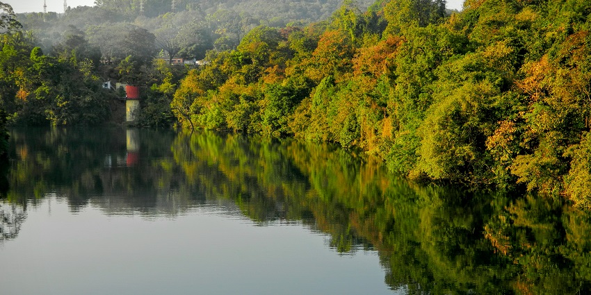 Kali River flowing through dense forest in Anshi, one of the national parks in Karnataka.
