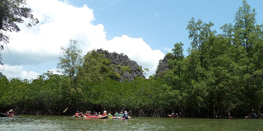 Boat gliding through emerald waters and lush trees at Ao Phang Nga, one of the national parks in Thailand.
