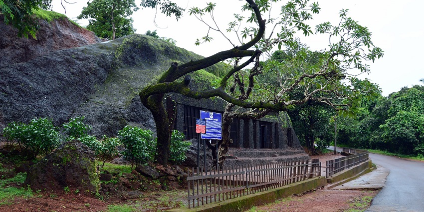 The Arvalem caves in Goa have unique rock formations, grass growing on the rocks, and greenery.

