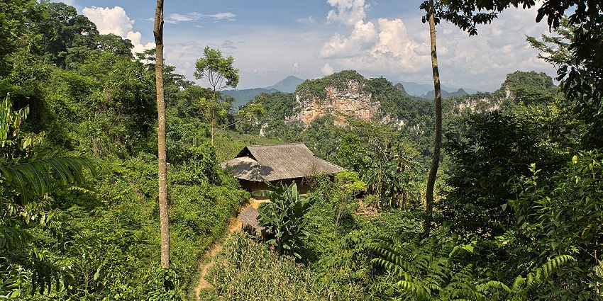 Lush green forest with a thatched hut and limestone peaks at Ba Be National Park, one of the National Parks in Vietnam.
