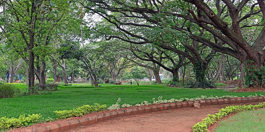 Pathway with grass lawns and large shady trees at Bannimantap Park, one of the popular parks in Karnataka.
