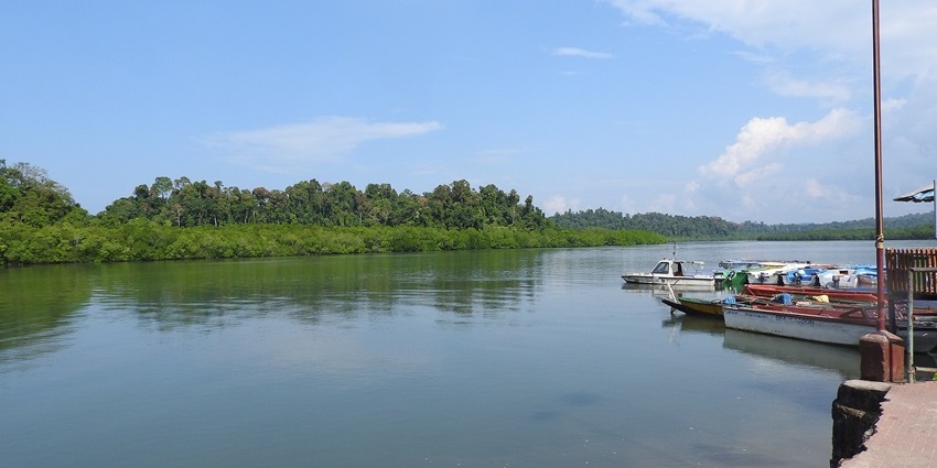 Paragliding in Andaman over a tranquil river with boats and lush green forest in the backdrop.