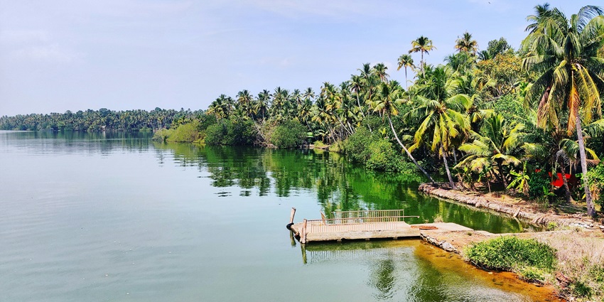 Wooden dock at Basavaraj Durga Island surrounded by palm trees and calm waters, one of the best islands in Karnataka.