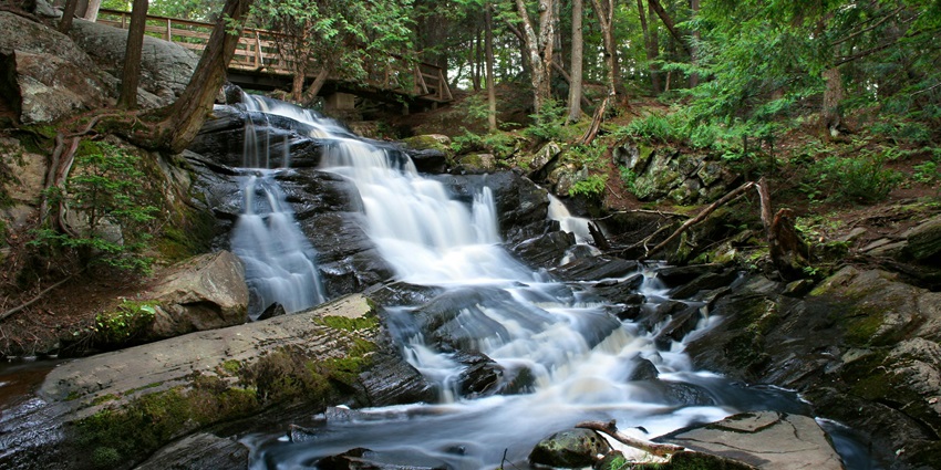 Bheelberi Waterfall cascading down rocky cliffs, surrounded by dense forest and greenery.