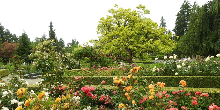 A garden filled with colorful flowers at Botanical Garden, one of the beautiful parks in Goa.
