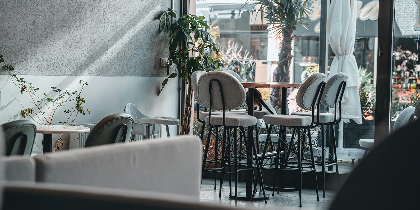 Modern café interior with tall chairs, indoor plants, and sunlight streaming through glass
