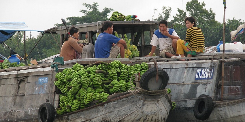 A boat filled with bananas is on a river, with four people sitting on top of the cargo.
