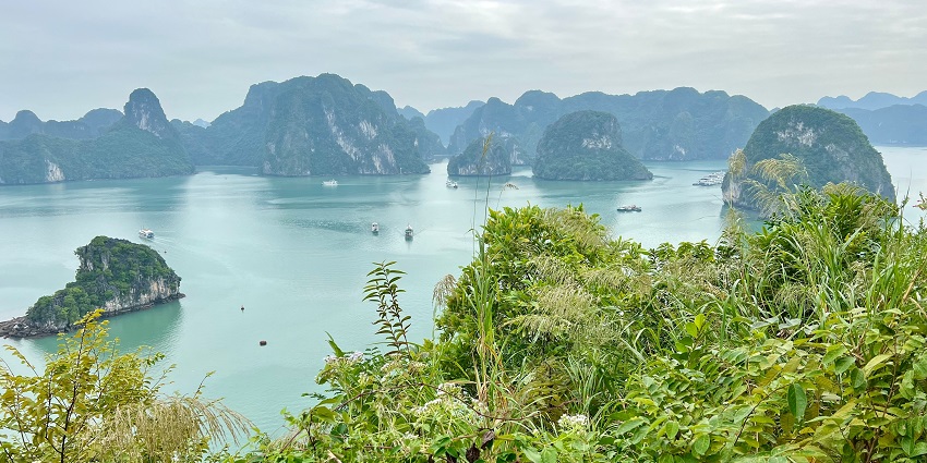 Lush green forest and limestone hills at Cát Bà National Park, Vietnam.
