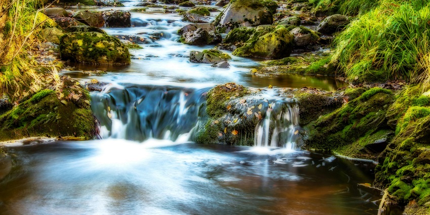 Charavane Waterfall flows over grass, showcasing one of the stunning waterfalls in Goa.
