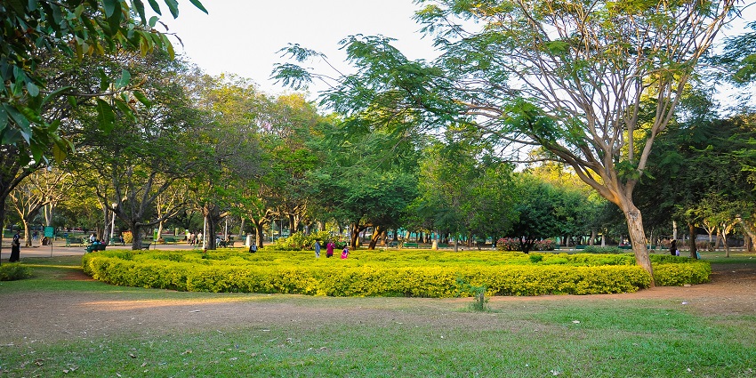 Walking path with benches, trees, and green lawns in a peaceful public park.
