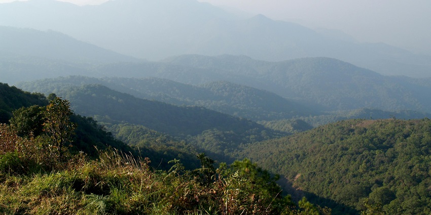 Lush green hills of Chiang Mai captured during trekking in Thailand.