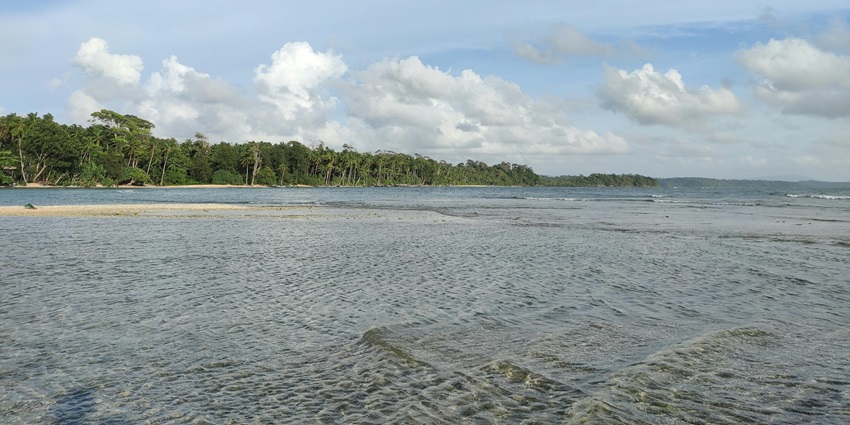 A scenic island with clear blue water, sandy beach, and dense tropical greenery.