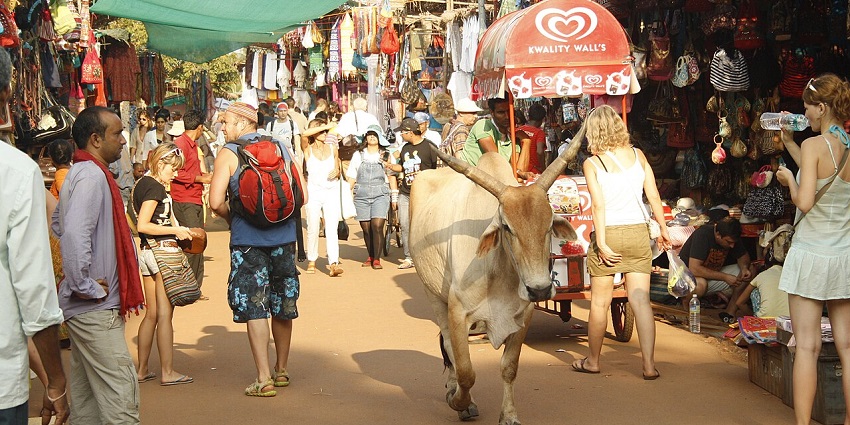 A lively street market scene with a cow walking through and many people and vendors.