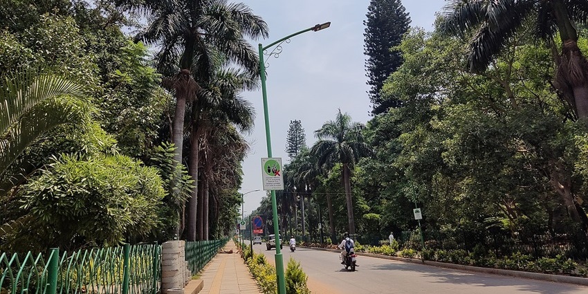 A road lined with palm trees under clear skies, perfect for picnic places in Karnataka.