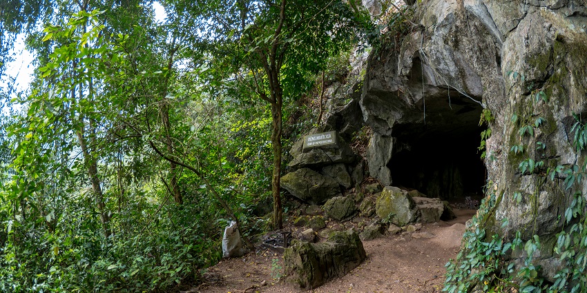 Inside the limestone cave at Cúc Phương National Park, showcasing natural formations in Vietnam.
