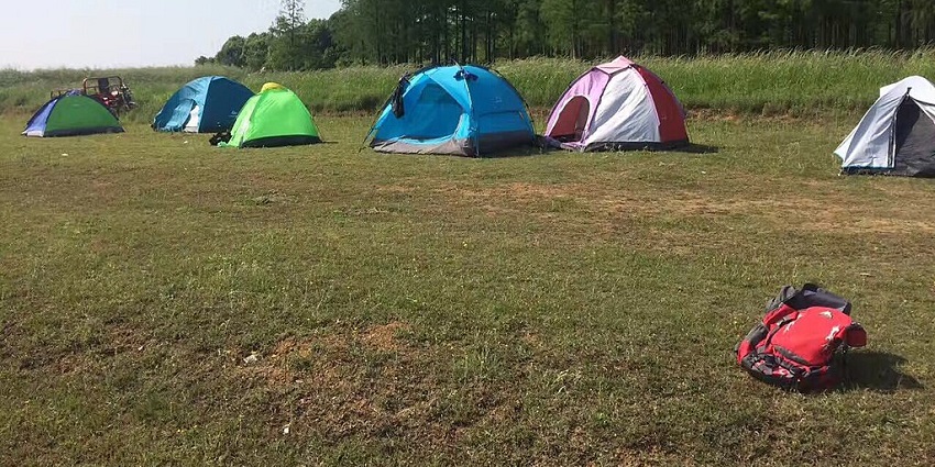 A line of colorful tents on a grassy field with forest backdrop, camping in Karnataka.
