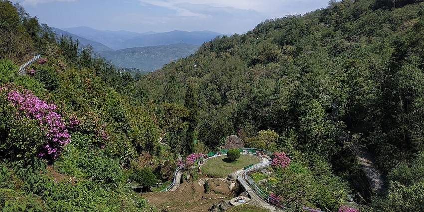 Darjeeling rock garden from above with a curvy walking pathway, green trees and mountains.