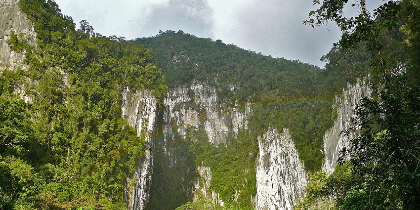 Entrance of Deer Cave in Mulu National Park, with limestone cliffs and dense rainforest.

