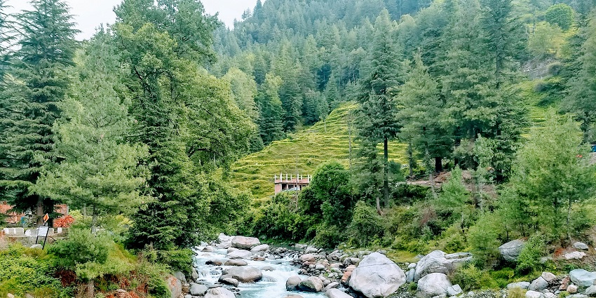 Green trees and a river surrounded by hills at Devidarh, one of the iconic parks in Himachal Pradesh.