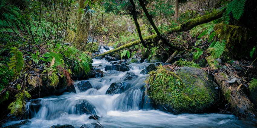 Dhrudhiya Waterfalls flow over rocky cliffs surrounded by dense green forest landscape.