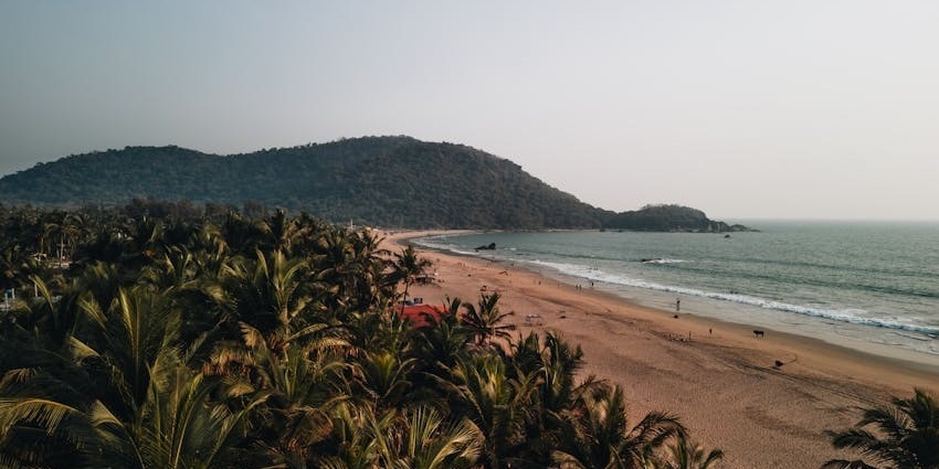 Scenic view of Divar Island with lush greenery, one of the best islands in Goa.