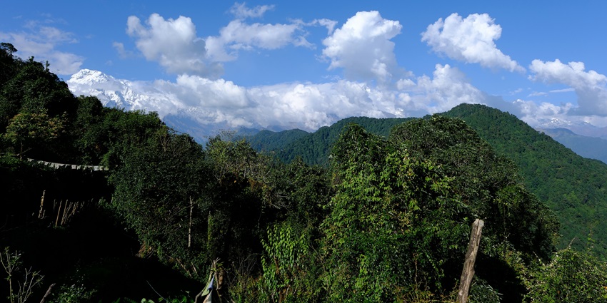 A panoramic view of the forests of Doi Khun Tan National Park from the Doi Khuan Tan Peak.