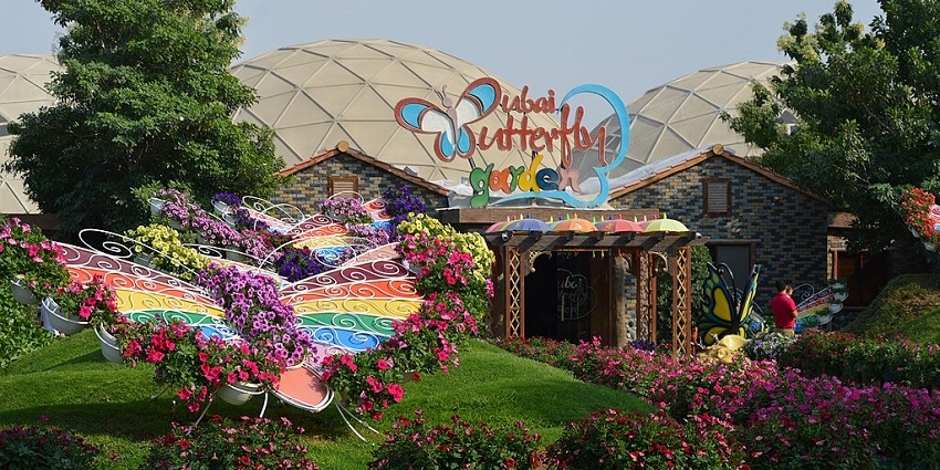 Butterfly-shaped flower pot showpiece on lawn at Dubai Butterfly Garden, one of the top zoos in Dubai.
